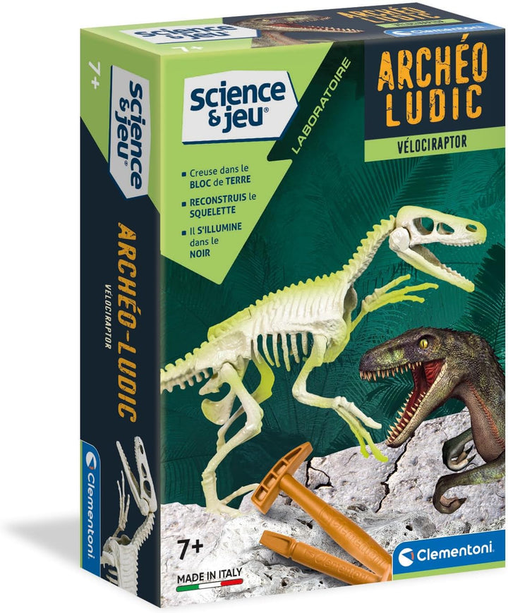Experimento Fosil De Dinosaurio Velociraptor niños