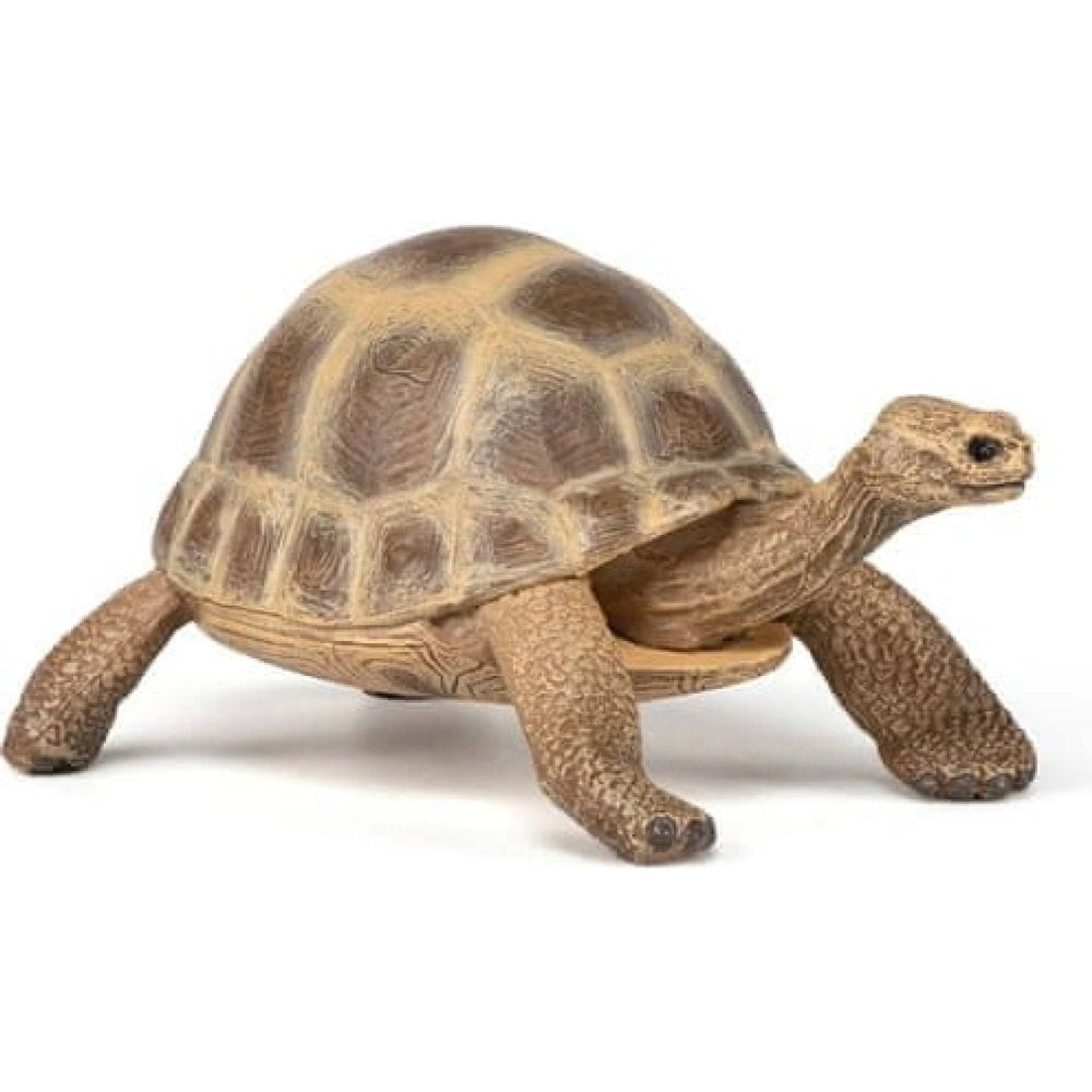 Figura Coleccionable Tortuga Hermann Pintado A Mano Papo