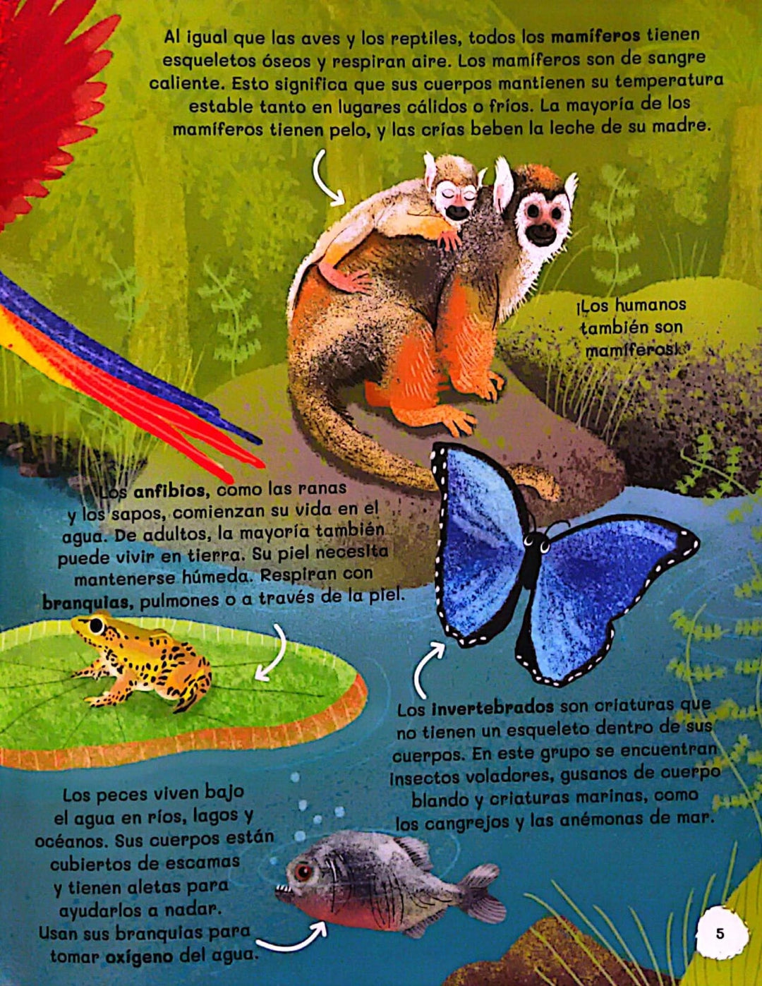 Libro Educativo Todo Sobre Animales Guía Niños
