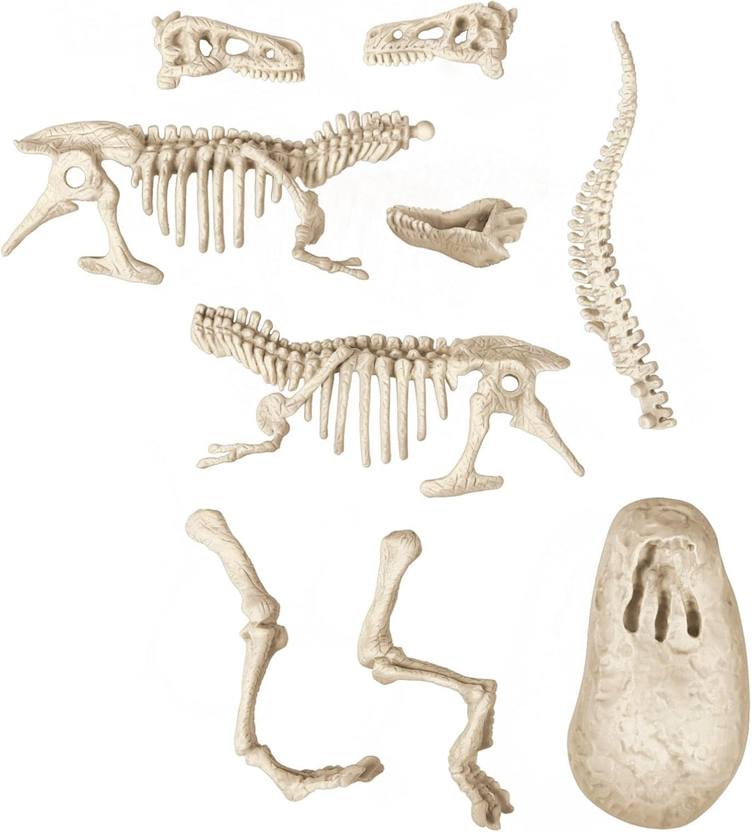 Experimento Fosil De Dinosaurio Velociraptor niños