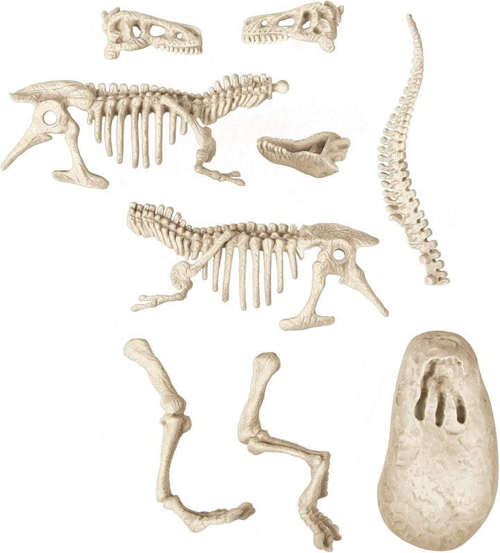 Experimento Fosil De Dinosaurio Velociraptor niños
