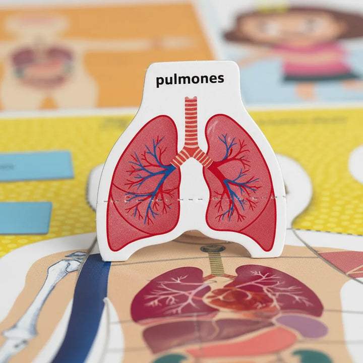 Juego Montessori El Cuerpo Humano Para Niños