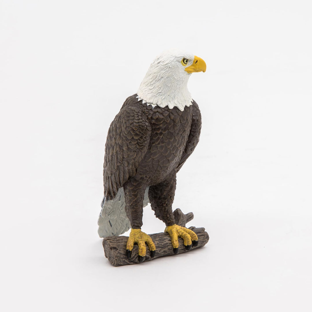 Figura Coleccionable Aguila Pygargue Papo Pintado A Mano