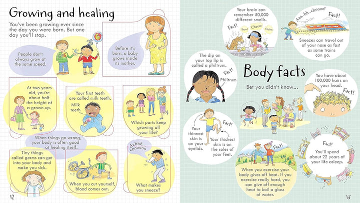 Libro Educativo El Cuerpo Humano Para Niños