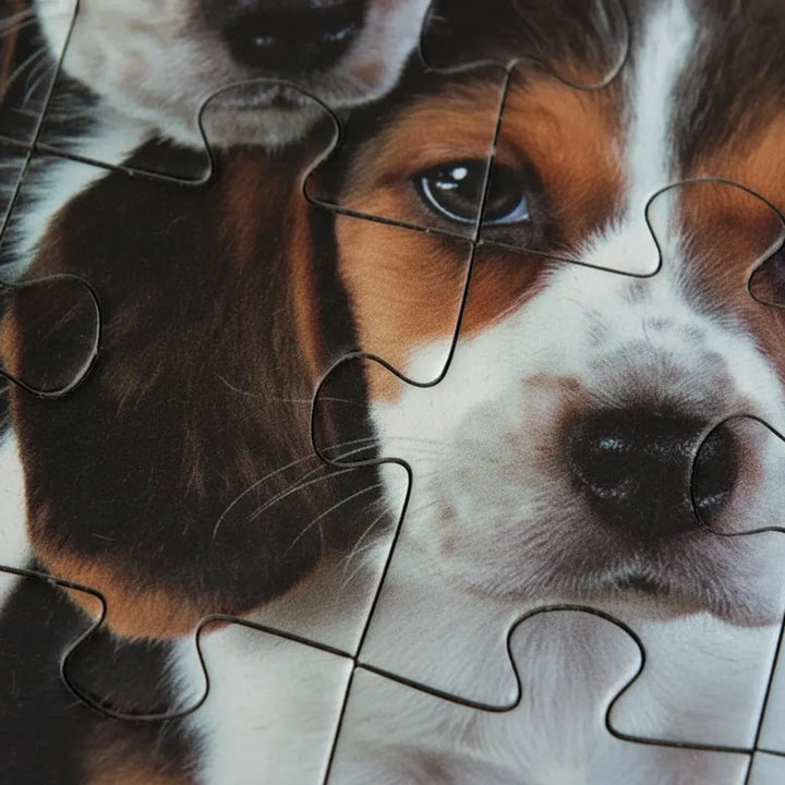 Rompecabezas 500 Piezas Cachorros Clementoni Adultos