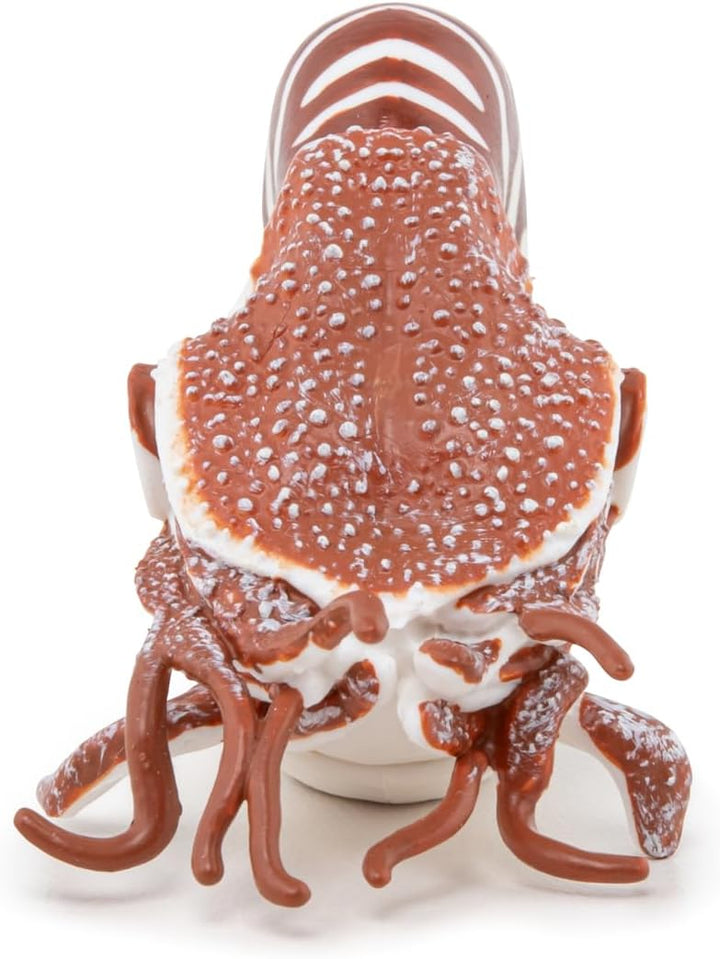 Figura Coleccionable Nautilus Papo Pintada A Mano