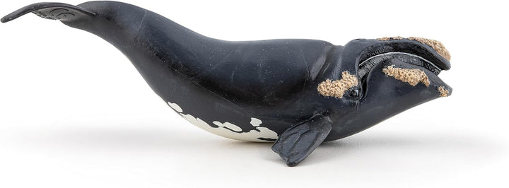 Figura Coleccionable Ballena Boreal Papo