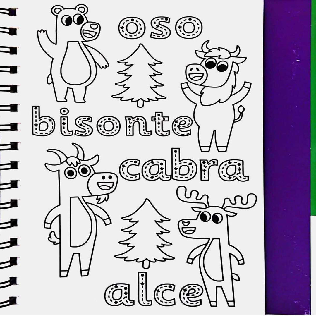 Libro Mis Primeras Palabras Pintar Con Agua Niños