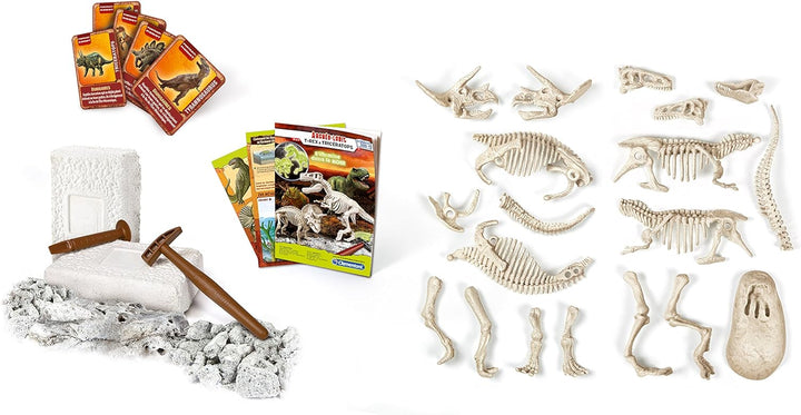 Juego Excavar Fósil De Dinosaurio Triceratops