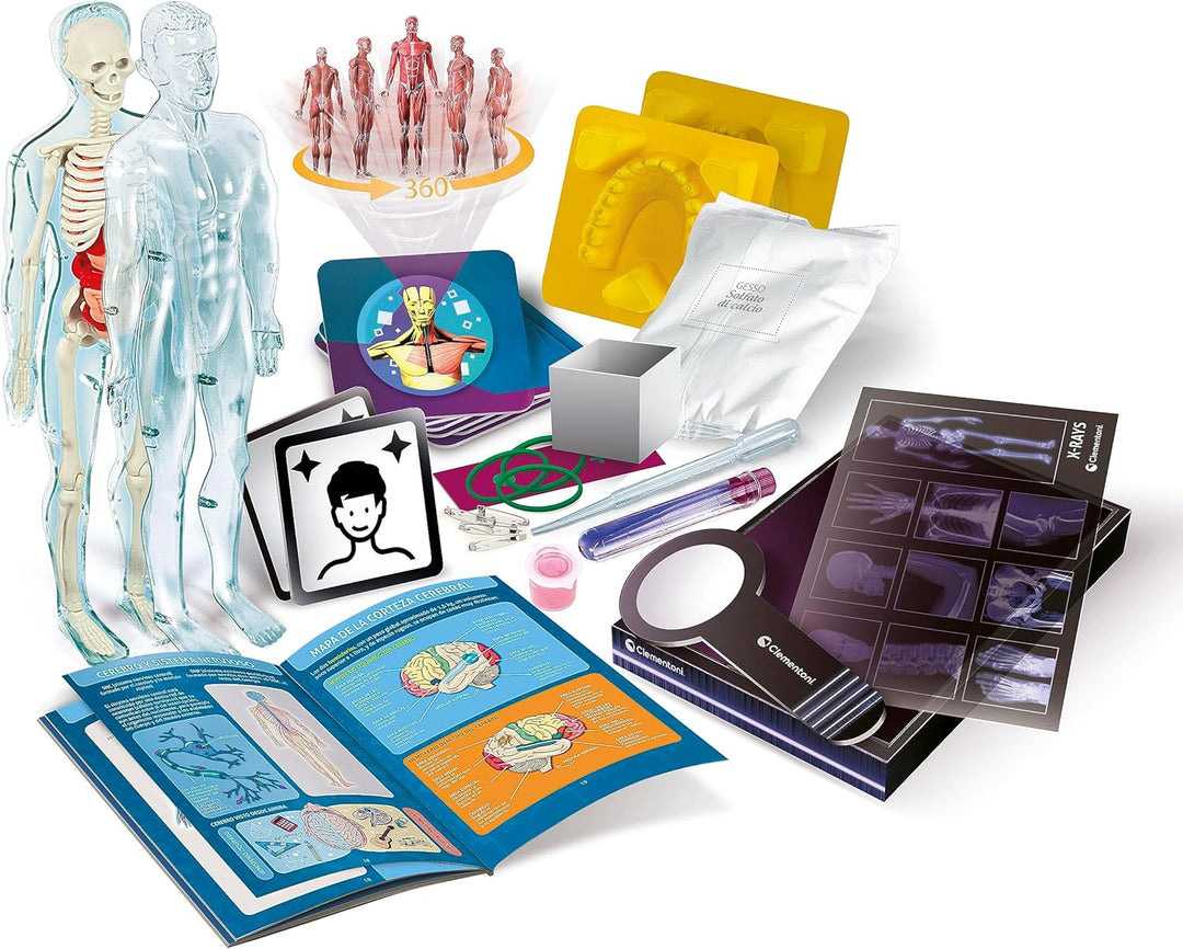Juego Didáctico Anatomía Interactivo Niños