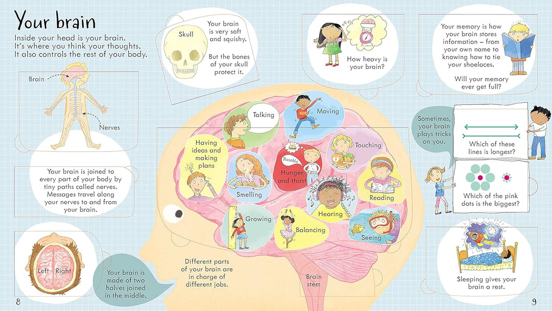 Juego Educativo El Cuerpo Humano Para Niños