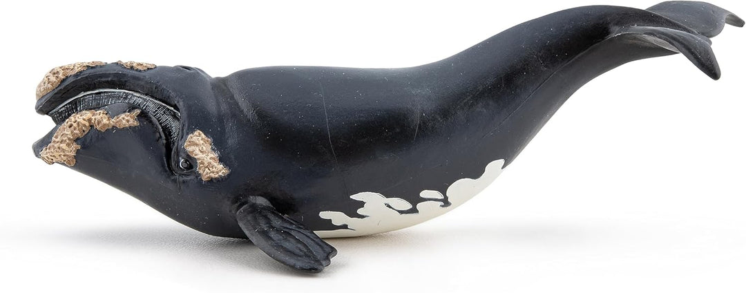 Figura Coleccionable Ballena Boreal Papo