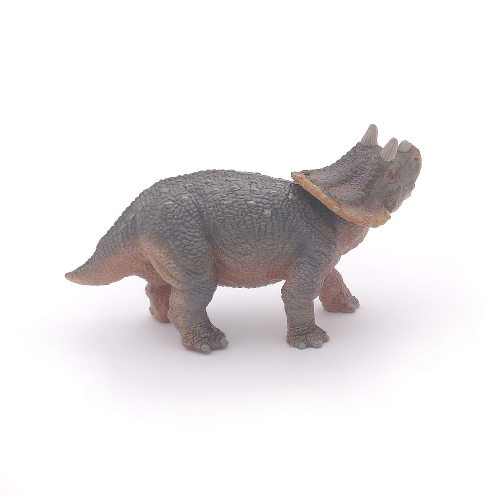 Figura Coleccionable Dinosaurio Triceratops Papo
