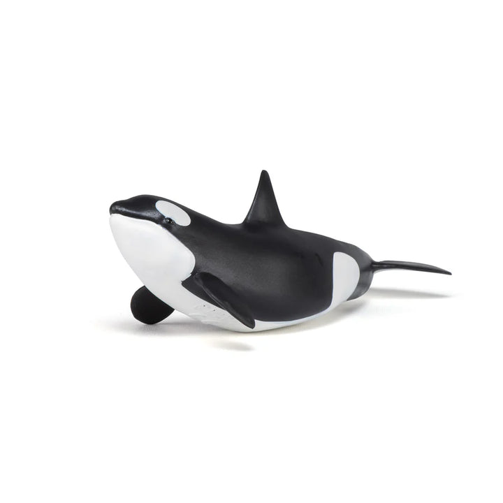 Figura Coleccionable Bebé Orca Papo Pintada A Mano