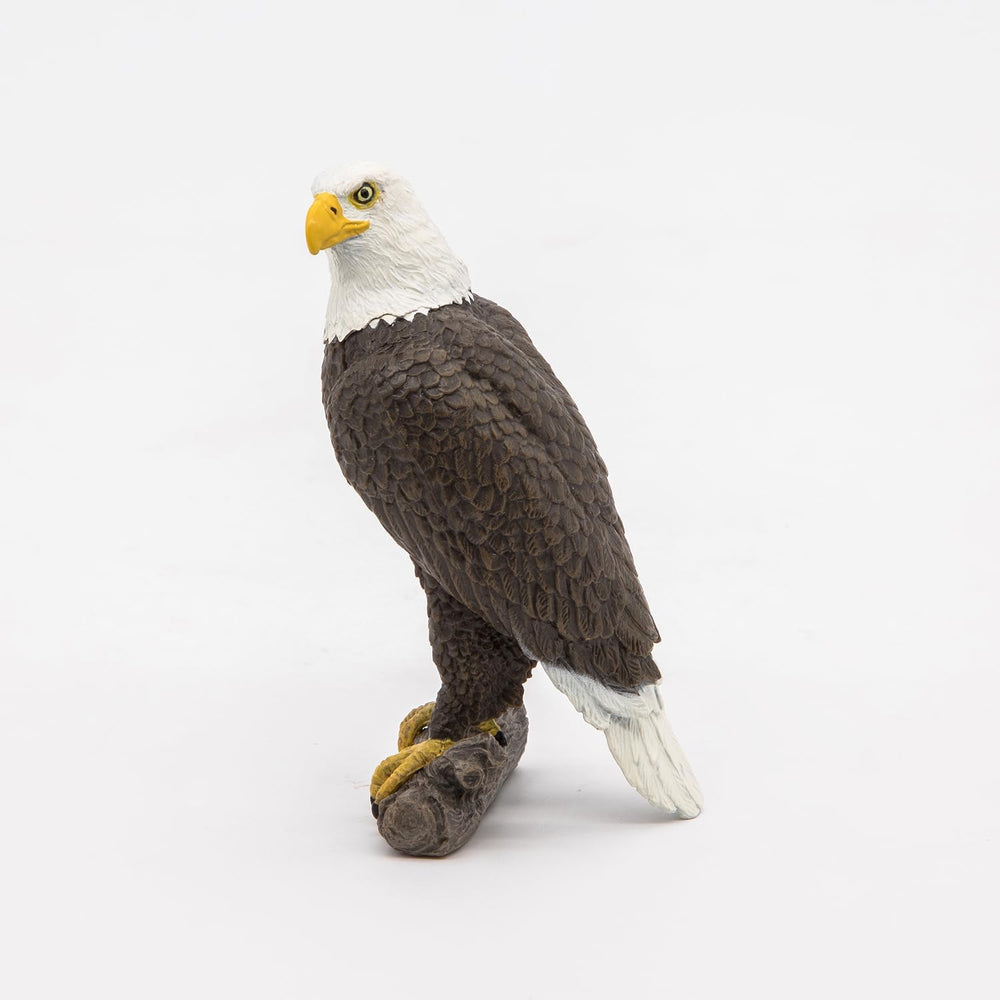 Figura Coleccionable Aguila Pygargue Papo Pintado A Mano