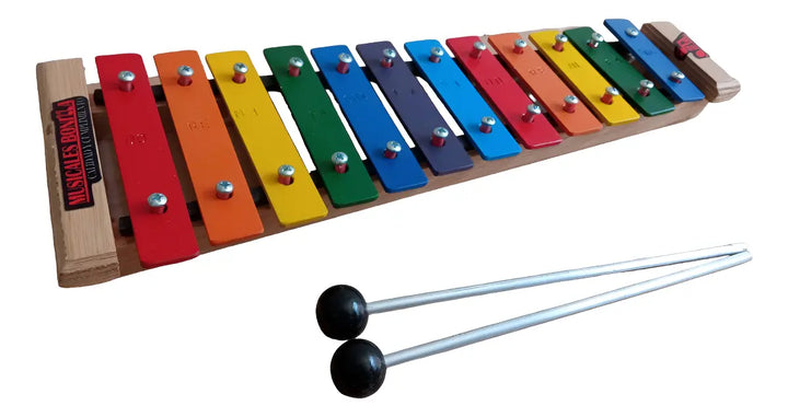 Juguete Musical Xilófono Carrillón X 12 Notas Para Niños