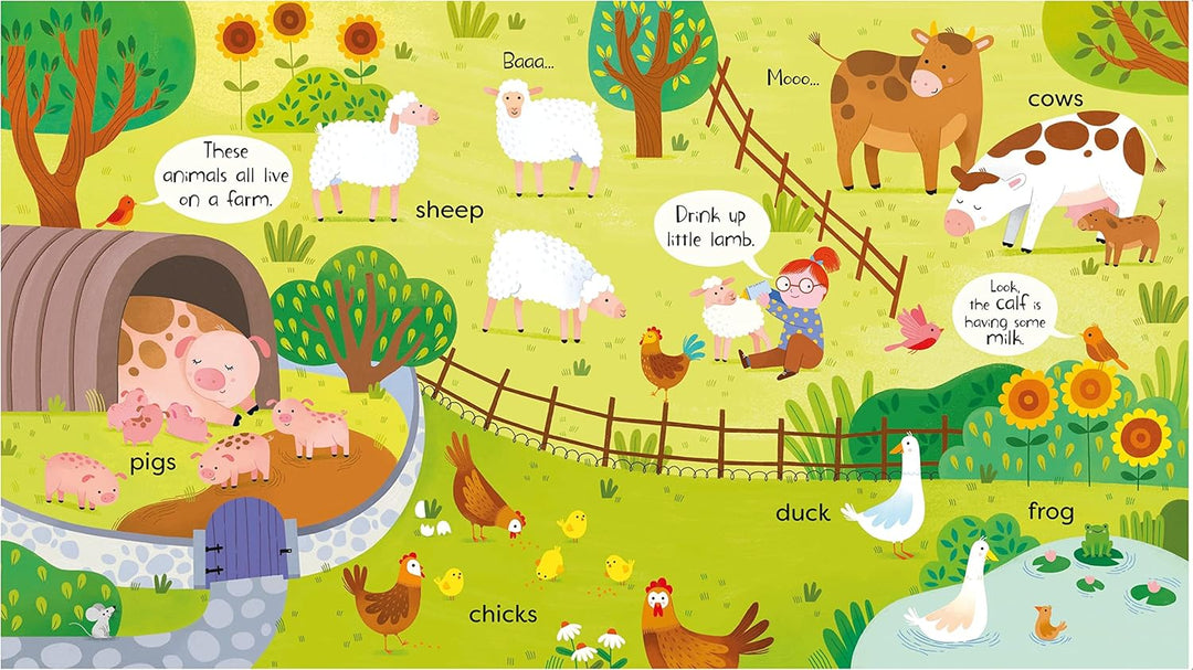Libro Didáctico Primer Libro Sobre Animales Para Niños
