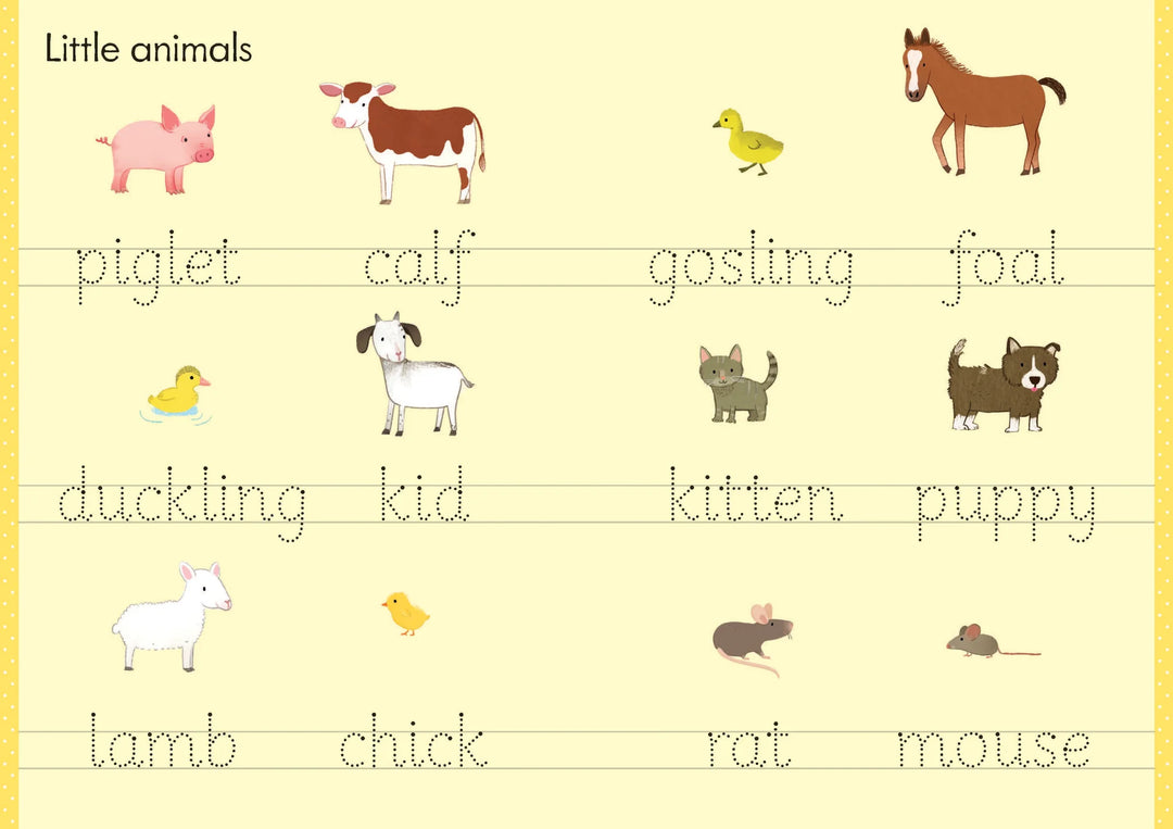 Libro Infantil Granja Aprendizaje Borrable Niños