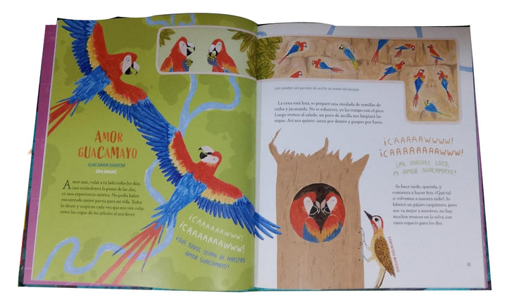 Libro Guía Secreta De Aves  Para Niños