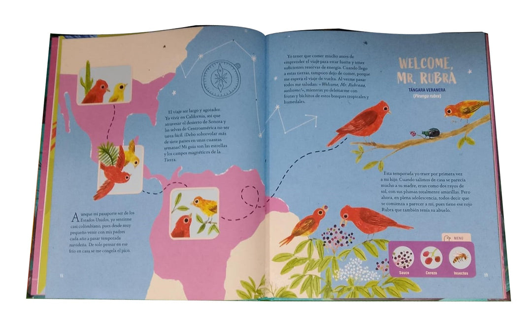 Libro Guía Secreta De Aves  Para Niños