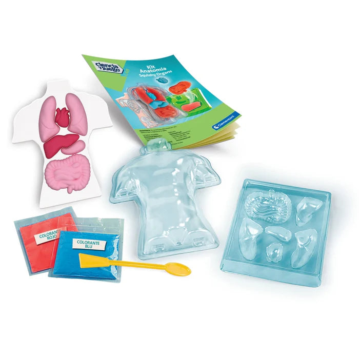 Juego Educativo Kit Anatomía Cuerpo Humano Para Niños