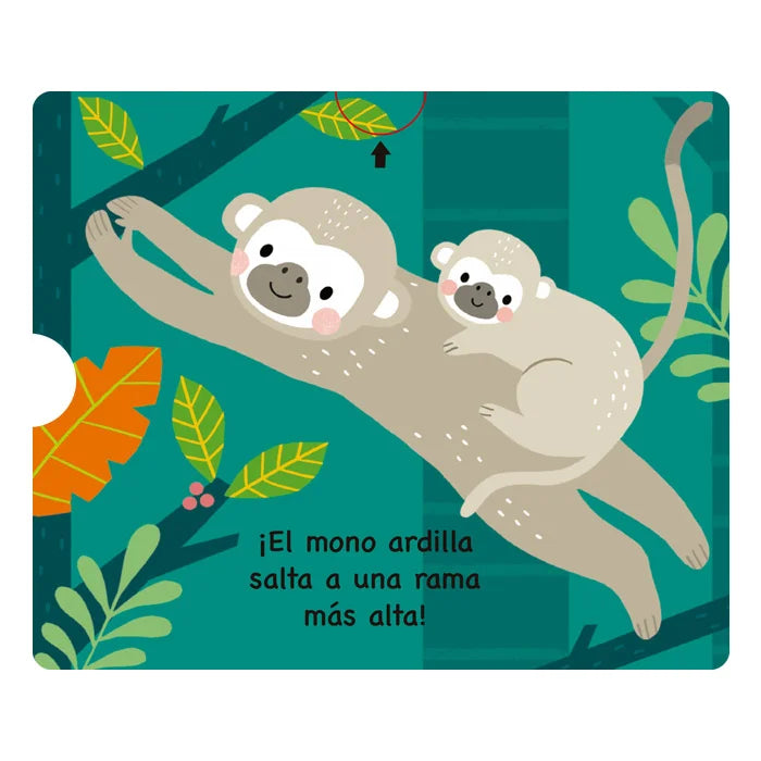 Libro Didáctico Animales Del Bosque Tropical Para Niños