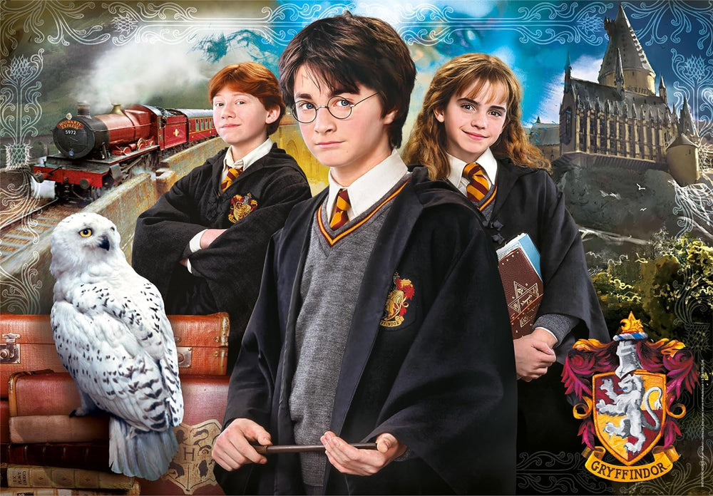 Rompecabezas 1000 Piezas Harry Potter Y Amigos