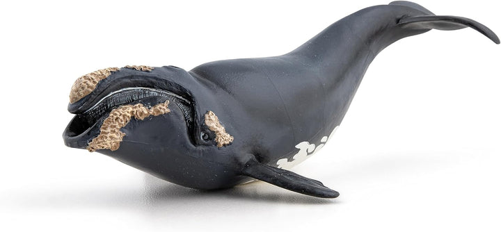 Figura Coleccionable Ballena Boreal Papo