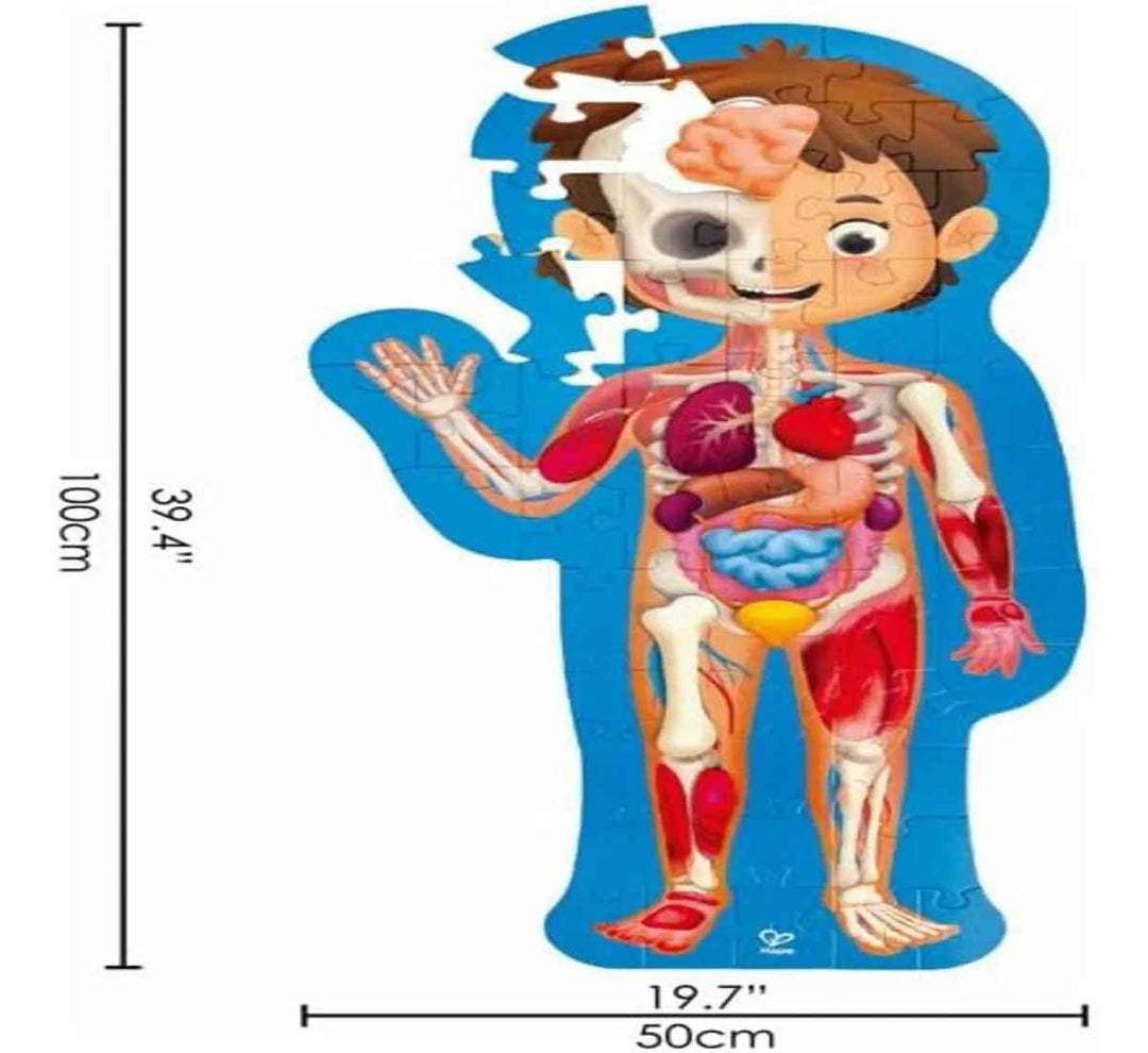 Rompecabezas Educativo Cuerpo Humano Niño