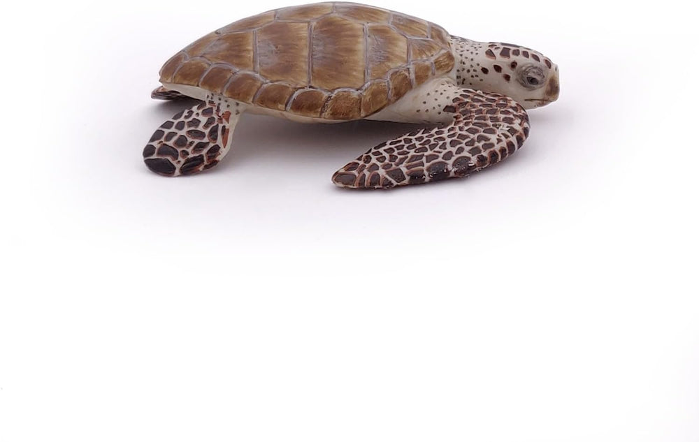 Figura Tortuga De Mar Pintada A Mano  Niños Adultos