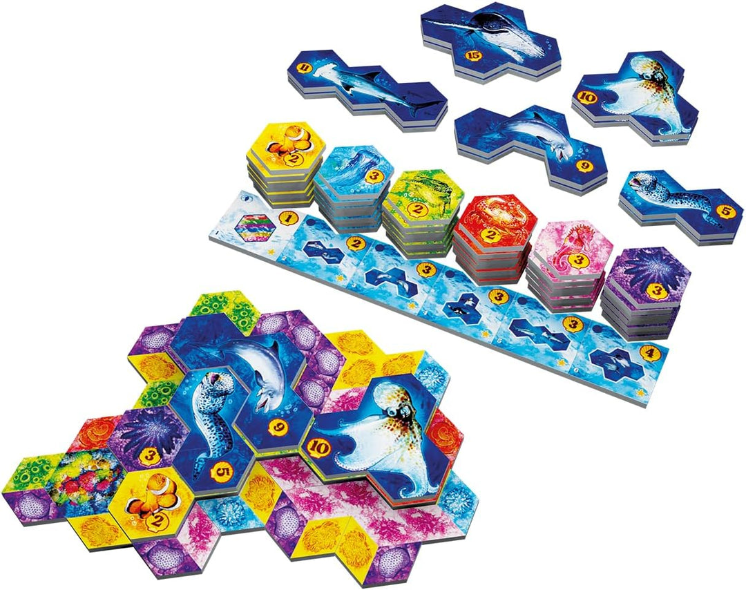 Juego De Mesa Aqua Estrategia Para Adultos