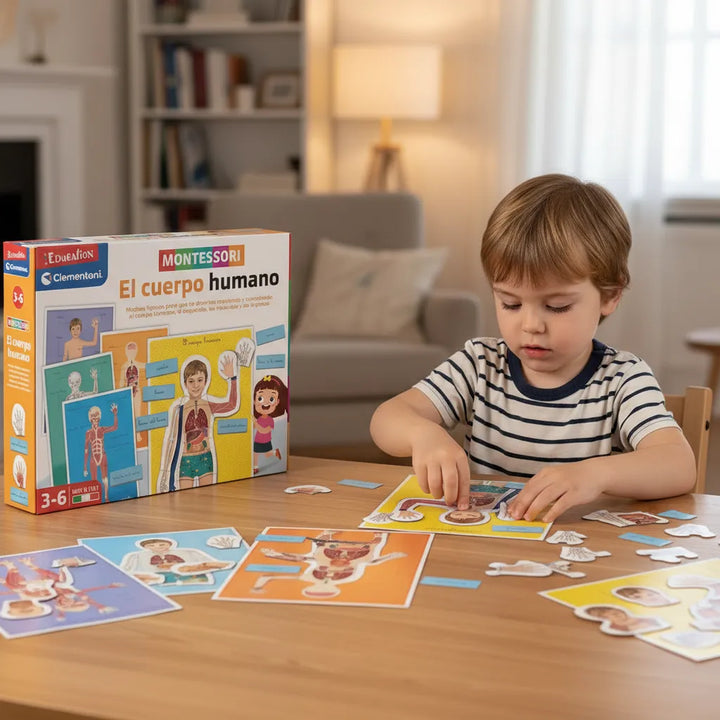 Juego Montessori El Cuerpo Humano Para Niños