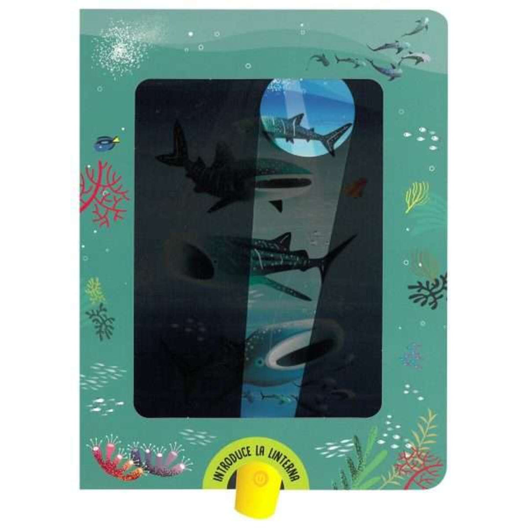 Libro educativo Busca Y Encuentra Tiburones niños