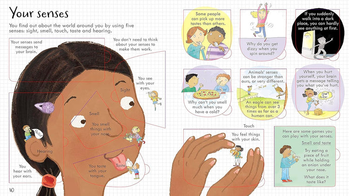 Libro Educativo El Cuerpo Humano Para Niños