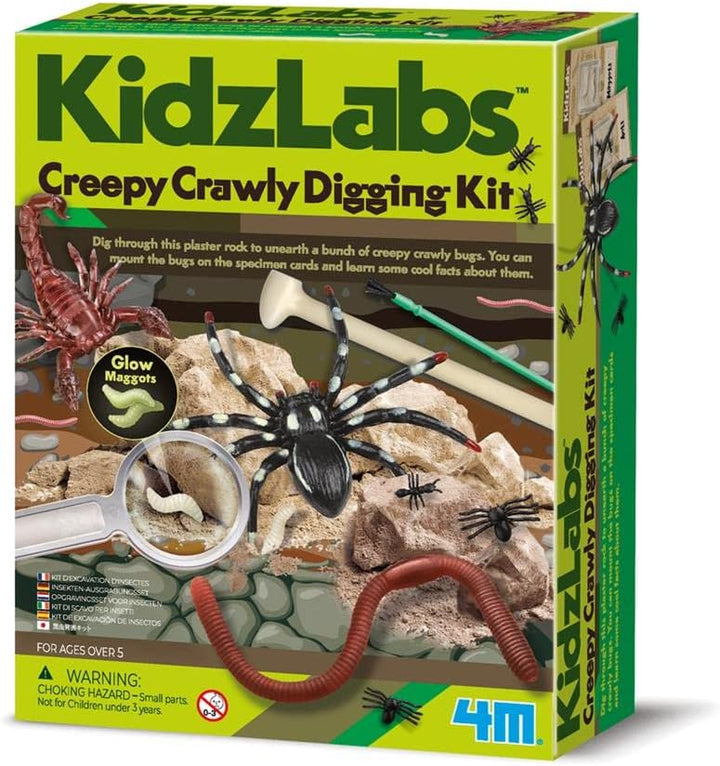 Juego Experimento Excavación Insectos