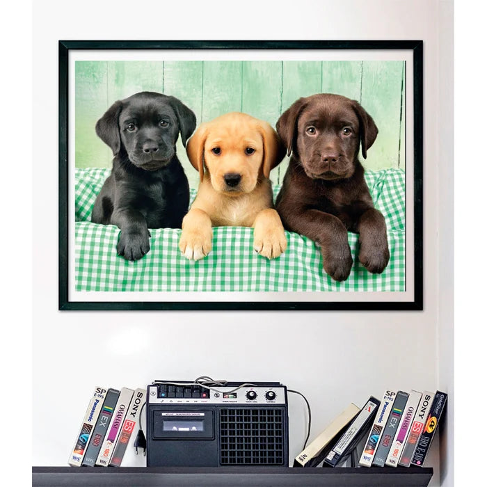 Rompecabezas 1000 Piezas Cachorros Labrador Clementoni