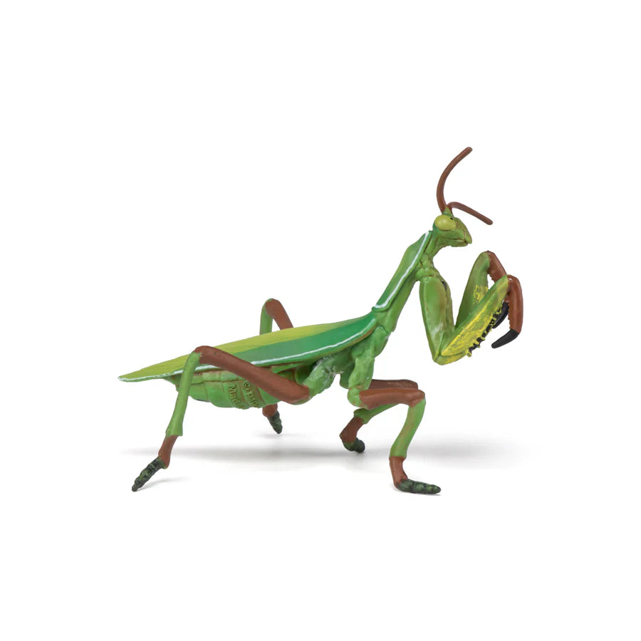 Figura Coleccionable Mantis Religiosa Papo Para Niños Adultos