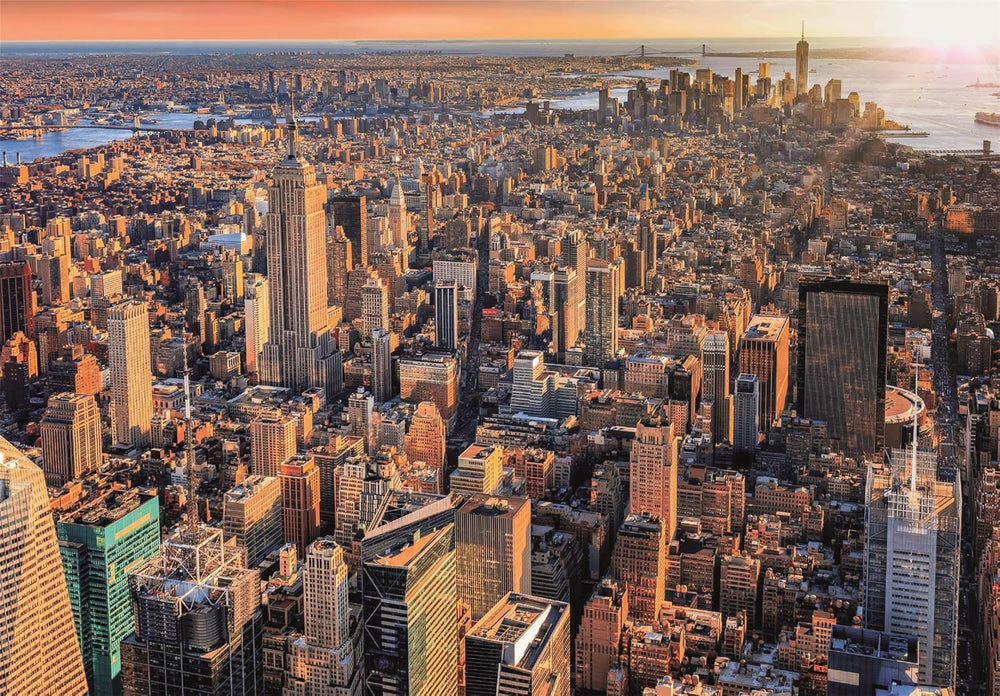 Rompecabezas 1000 Piezas Nueva York