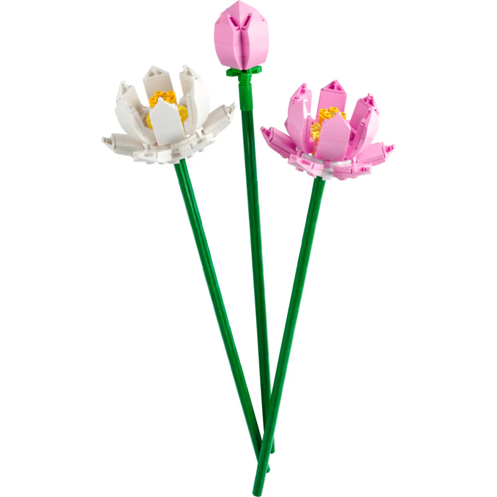 Lego Armatodo Diseño Girasoles 191 Piezas Niños