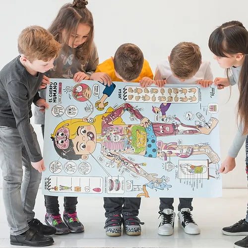 Set Educativo El Cuerpo Humano Con Stickers Niños
