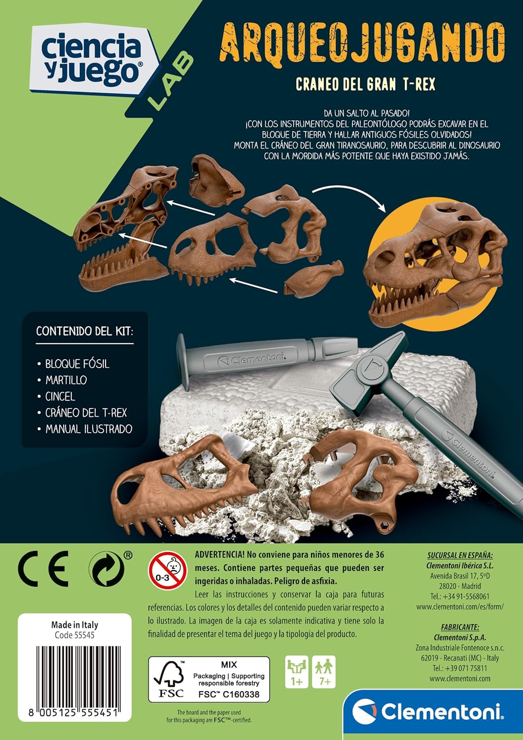 Juego Cráneo Gigante T-rex Para Niños