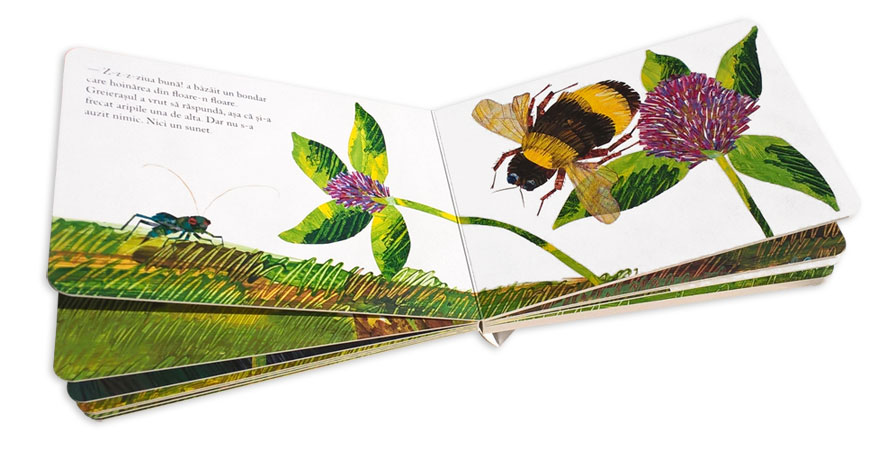 Libro El Grillo Silencioso De Eric Carle Niños