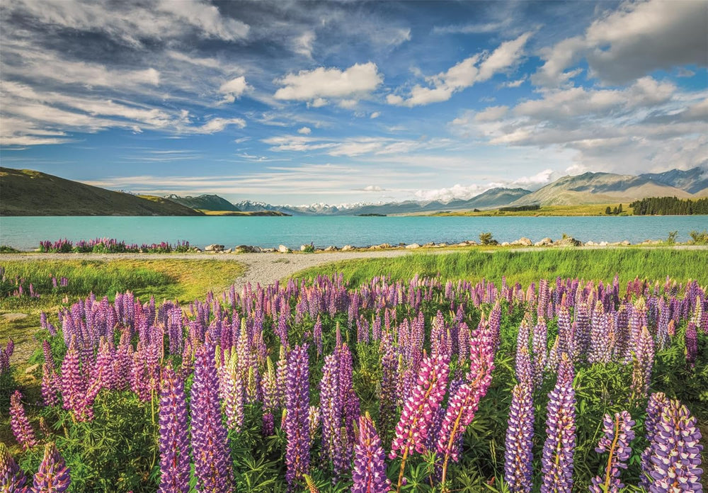 Rompecabezas 1500 Piezas Lago Tekapo