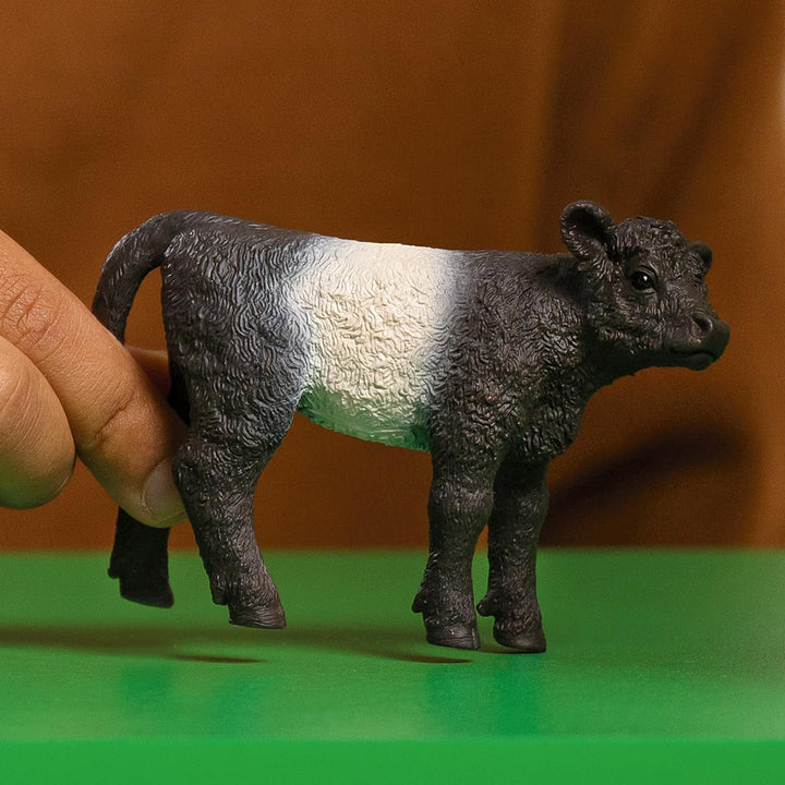 Figura Ternero Galloway Pintada A Mano Schleich