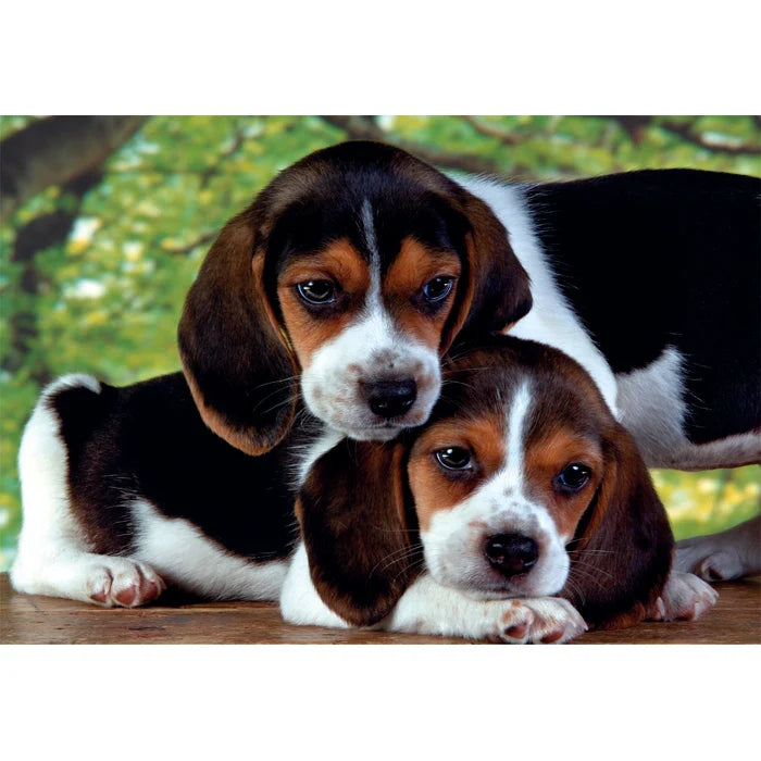 Rompecabezas 500 Piezas Cachorros Clementoni Adultos