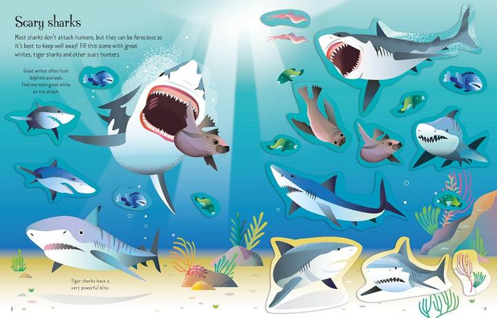 Libro Didáctico Primer Libro Pegatinas Tiburones Para Niños