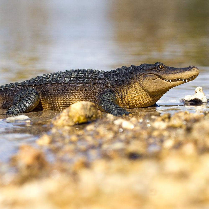 Figura Animales Caiman Pintado a Mano