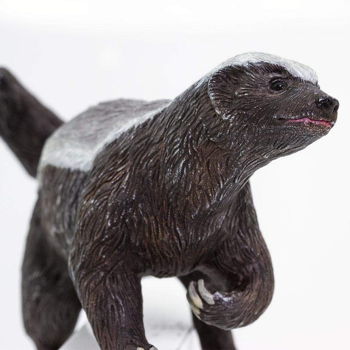 Figura Animales Tejon De Miel Pintado a Mano