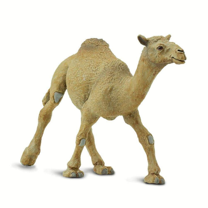 Figura Animales Camello Dromedario Pintado a Mano
