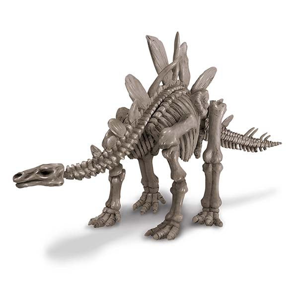 Experimento Arqueología Stegosaurus